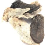 Lammeører med pels god tyggesnack til hunden