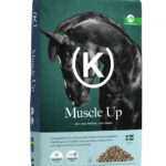 KRAFFT Muscle Up