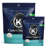 KRAFFT Gastro Support