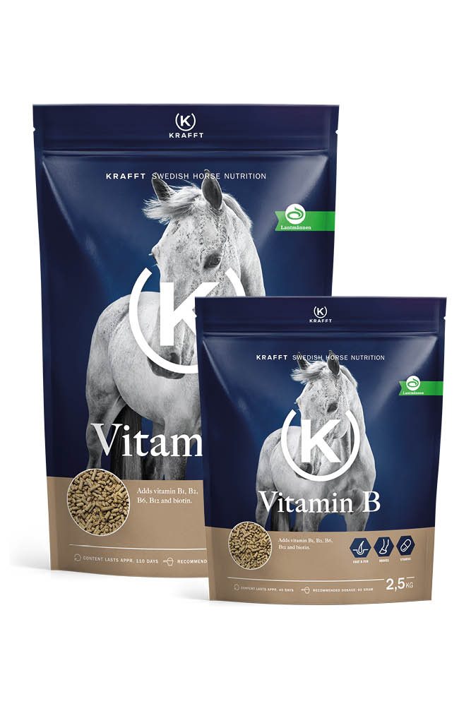 KRAFFT Vitamin B Pellets - 7 kg