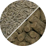 Nordic Sand Exit STICKS