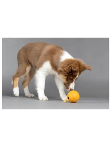 Treat Ball Hvalp gummi 2 farver –  ø 8 cm