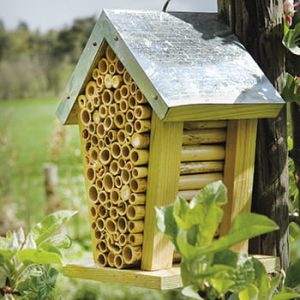 Insekthotel/bihus