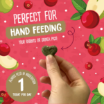 Burgess Excel Winter Berry Bakes, en lækker vinter godbid til forkælelse i vinterhyggen