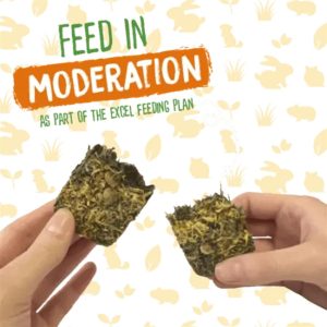 Burgess Forage&Feast Hø, Marigold – 60g