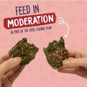 Burgess Forage&Feast Hø, Rose – 60 g.