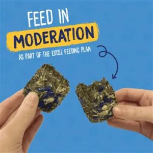 Burgess Forage&Feast Rose kornblomst – 60g