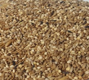 NettoFoder Hønseslik #1 – 15 kg (Bestillingsvare leveringstid ca. 2 uger)