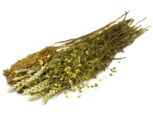 JR Farm Kamillehøst – 80 gram