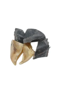 Kalveklove – 10 stk.