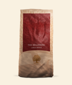 ESSENTIAL The BEGINNING LARGE BREED – 10 kg
