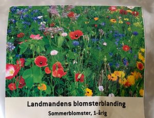 Landmandens Blomsterblanding – 1 kg (Bestillingsvare, leveringstid ca. 1 uge)