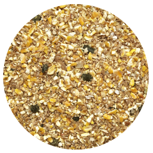 Nordic Chick Mix – 15 kg (Bestillingsvare leveringstid ca. 2 uger)