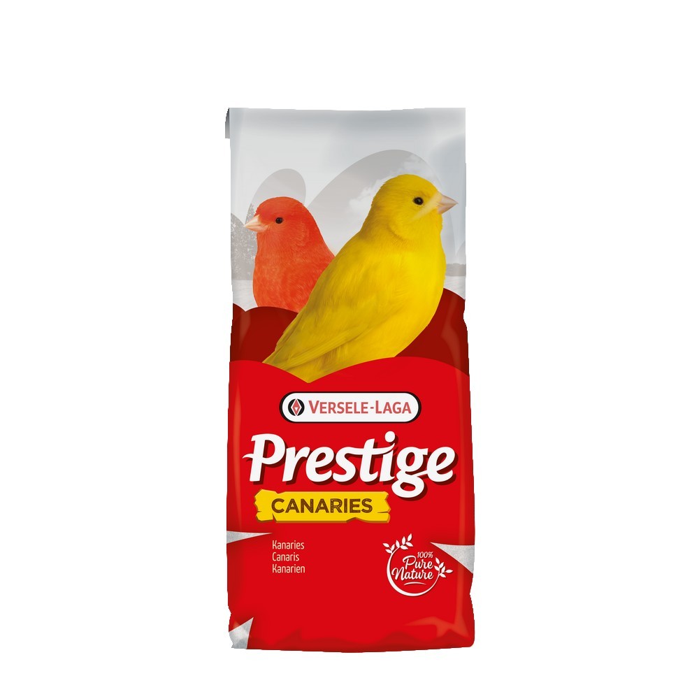 Prestige Kanarie - 5 kg opposet BF. 10.2.25