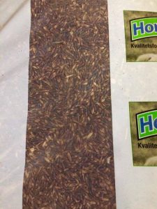 Sort Havre – 12 kg (Bestillingsvare, leveringstid ca. 2 uger)