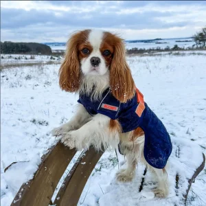 Siccaro Supreme 2.0 Granite – str. 30 – 20% UDGÅR AF SORTIMENT I FYSISK BUTIK