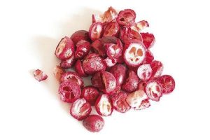 Frysetørret Tranebær – 15 gram