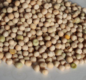 Foderærter fra Nettofoder – 15 kg