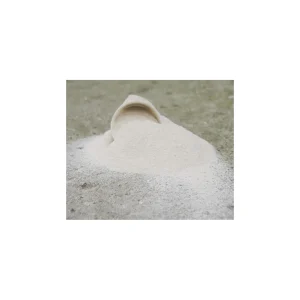 Nature’s First Biotin – 1 kg