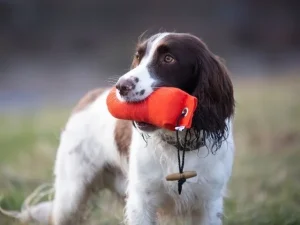 Fenriz Dummy – 250 gram