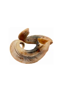 Lammehorn str. medium – 1 stk.