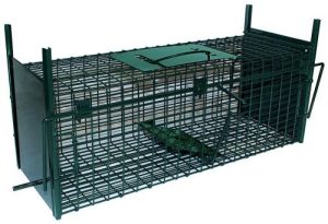 Trådfælde – 53 cm