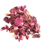 Rosenblade, en lækker og sund snack til kanin.